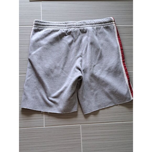 Indiana Hoosiers Gray Athletic Shorts Red Stripe Logo Colosseum Athletics Men L - Picture 10 of 10